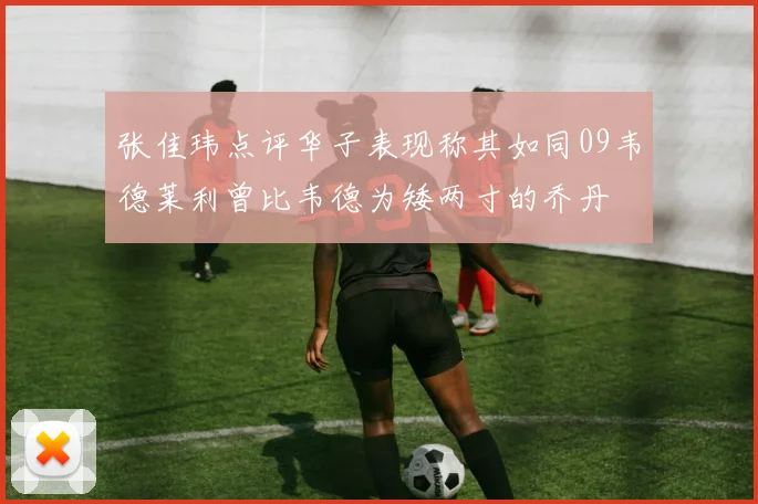 张佳玮点评华子表现称其如同09韦德莱利曾比韦德为矮两寸的乔丹