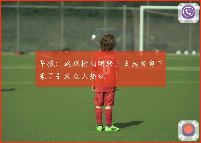 早报：这棵树刚刚爬上去就匆匆下来了引发众人热议