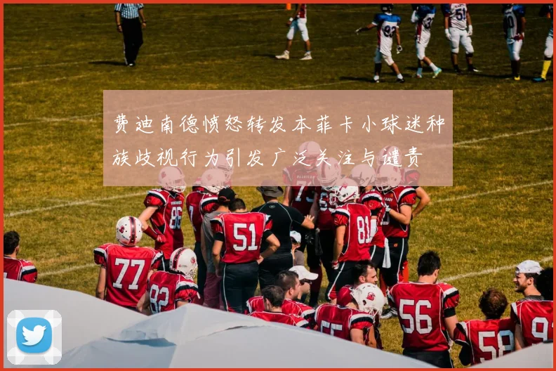 费迪南德愤怒转发本菲卡小球迷种族歧视行为引发广泛关注与谴责