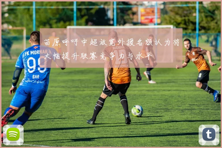苗原呼吁中超放宽外援名额认为将大幅提升联赛竞争力与水平