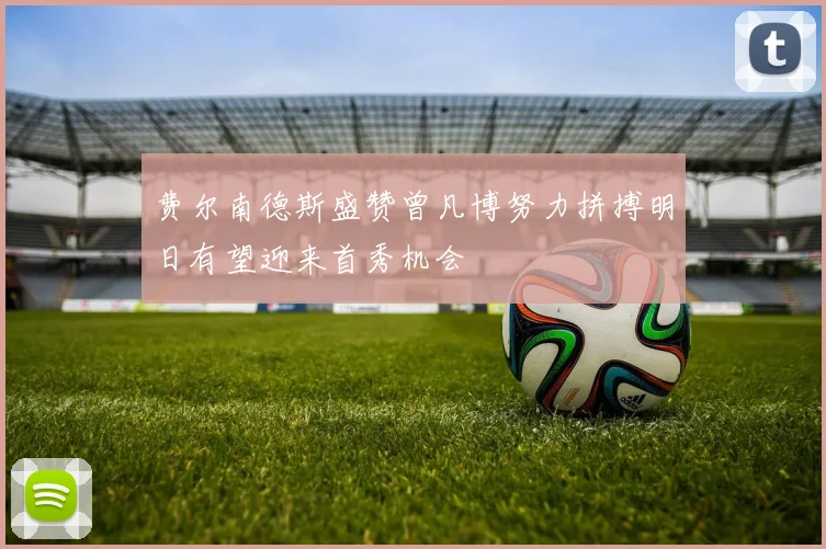 费尔南德斯盛赞曾凡博努力拼搏明日有望迎来首秀机会