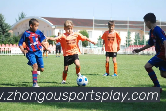 中欧体育APP 高清赛事图